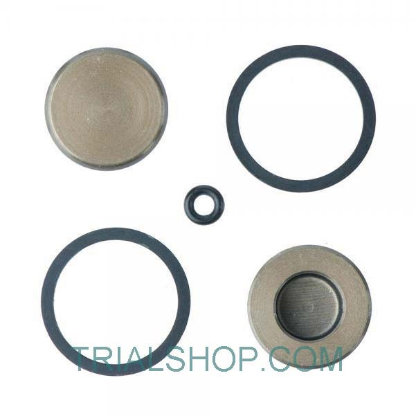 Gruppo pistone pinza freno posteriore Beta EVO 2T