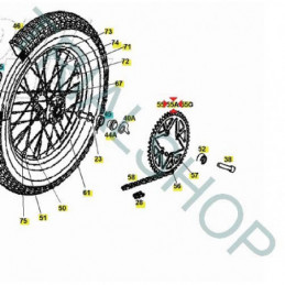 Corona Z 42 Gas Gas TXT Racing, GP