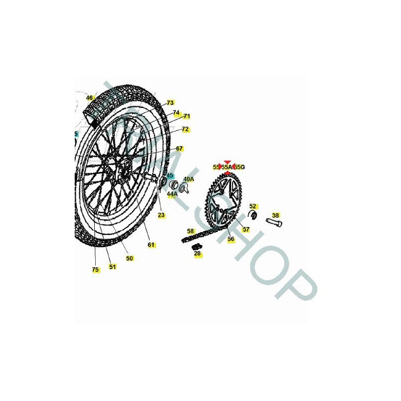 Corona Z 42 Gas Gas TXT Racing, GP