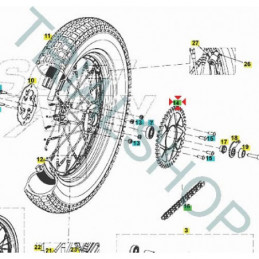 Corona Z 48 Gas Gas TXT Racing, GP