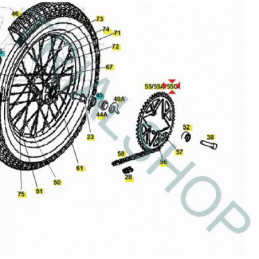 Corona Z 48 Gas Gas TXT Racing
