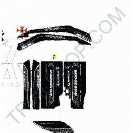 KIT ADESIVI CILINDRATA 20cc 2010
