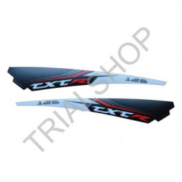 KIT CILINDRATA RACING 125 2011