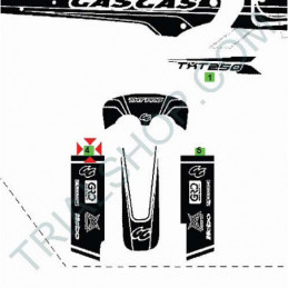 ADESIVO FORCELLA DX 125 ’08
