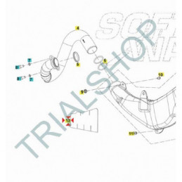 Adesivo protezione silenziatore Gas Gas Txt Factory, Racing, G:P., Contact