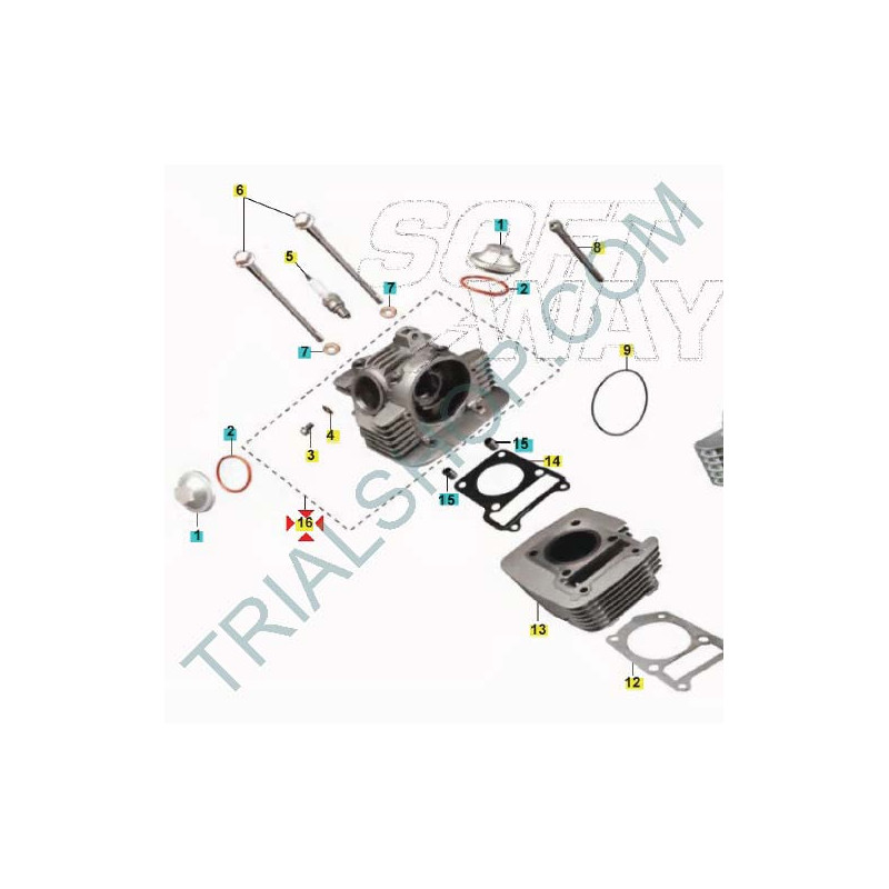 TESTA CILINDTO ASSY TXT RANDONNE’