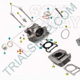 TESTA CILINDTO ASSY TXT RANDONNE’