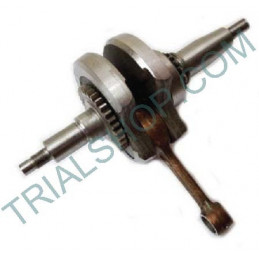 ALBERO MOTORE ASSY TXT RANDONNE’