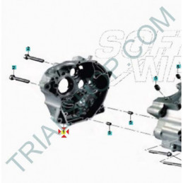 SEMICARTER MOTORE DX ASSY TXT