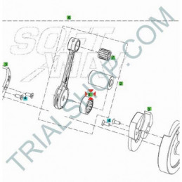 CUSCINETTO RULLI 24x30x16.8 TXT