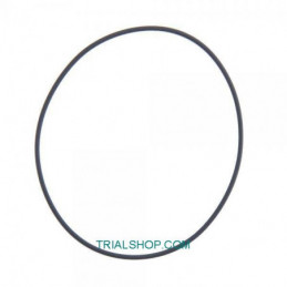 O’RING TESTA INTERNO TXT