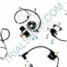 VOLANO 125 TXT