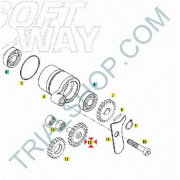 PIGNONE INTERMEDIO POMPA ACQUA TXT BOY