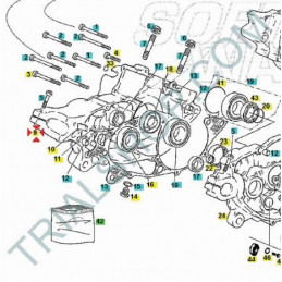 SEMICARTER MOTORE LATO VOLANO TXT