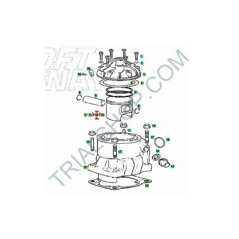 PISTONE 250 C TXT