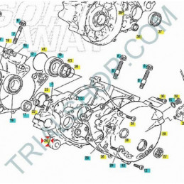 SEMICARTER MOTORE LATO FRIZIONE TXT