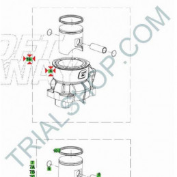 Cilindro completo 250cc Gas Gas Txt Racing, G.P., Contact