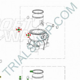 Cilindro completo 300cc Gas Gas Txt Racing, G.P.