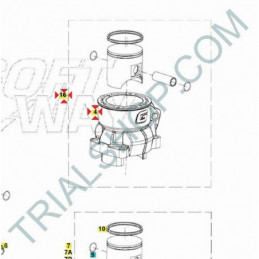 Cilindro completo Gas Gas Txt N.H.80cc 2015