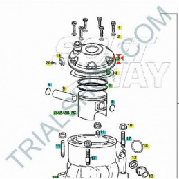 Testa cilindro 300cc Gas Gas Txt Raga, Racing, Pro
