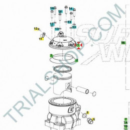 Testa cilindro 300cc Gas Gas Txt Racing, Pro