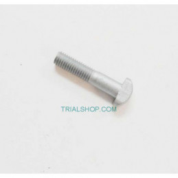 VITE SPECIALE 10 X45