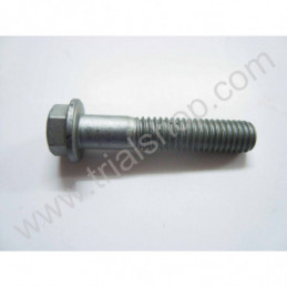 VITE SPECIALE M6X30
