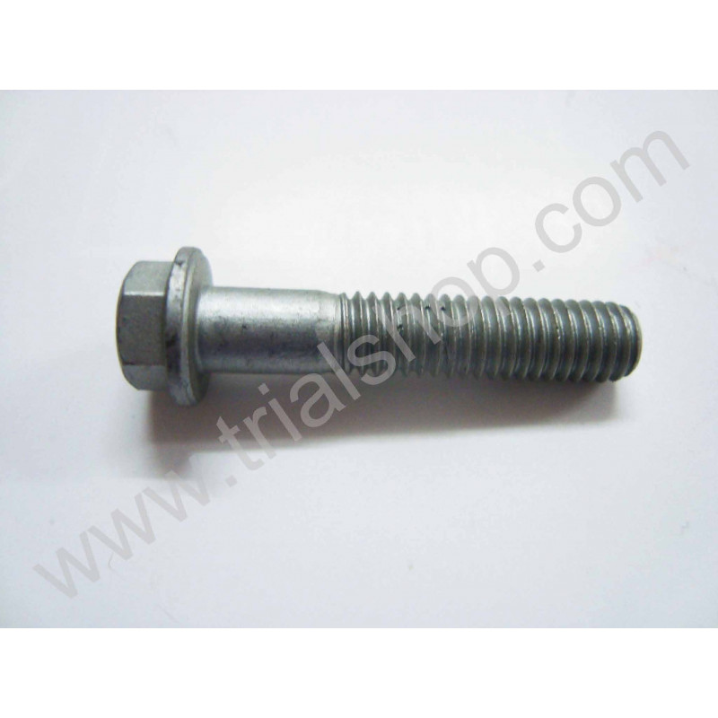 VITE SPECIALE M6X30