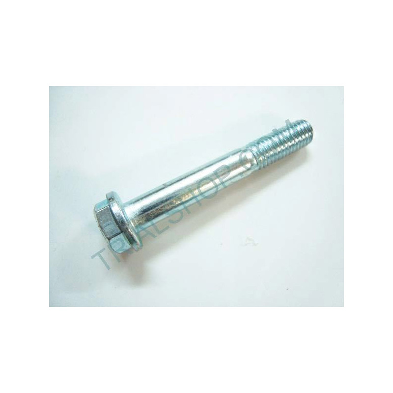Vite Especial 8×55 8.8 Fil.20Z