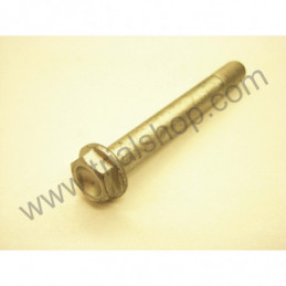 VITE SPECIALE M10X80X1.25