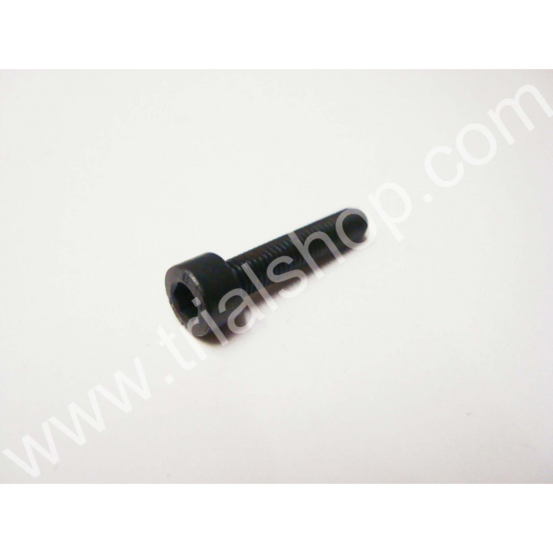 VITE BRUGOLA 5×30 NERA