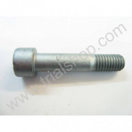 VITE A BRUGOLA 10X45 15mm.12.9