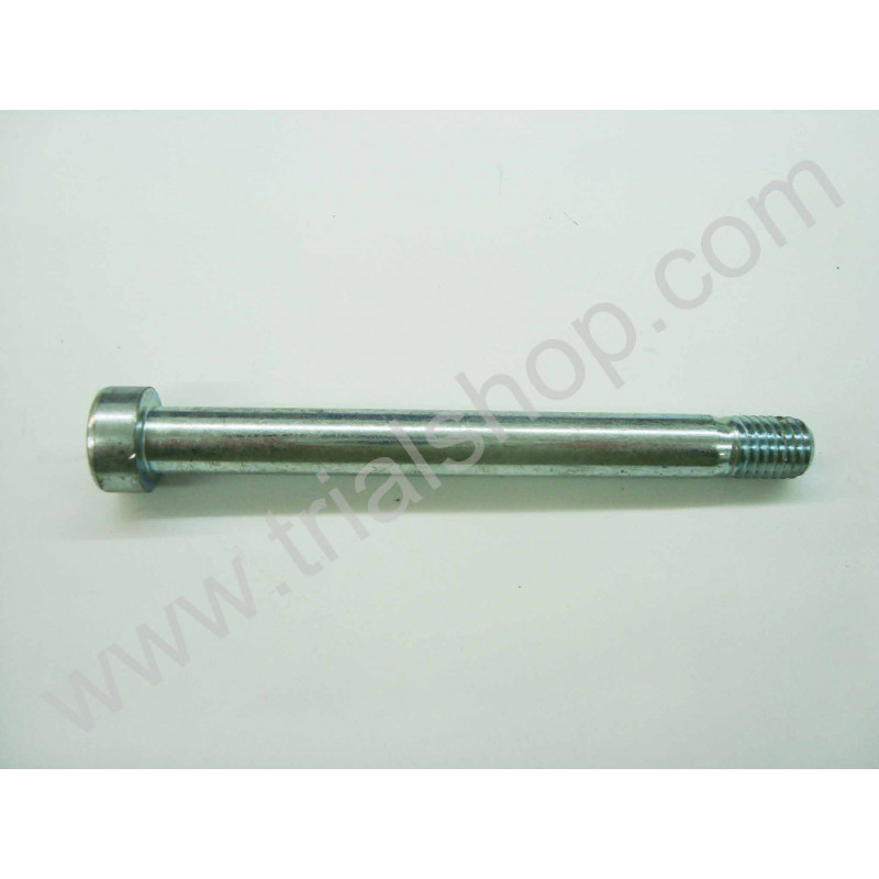 VITE A BRUGOLA 10X100 12.9