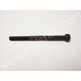 VITE BRUGOLA 5X65