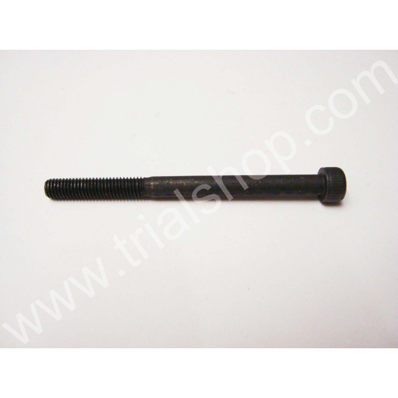 VITE BRUGOLA 5X65