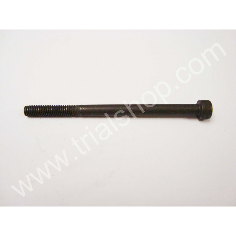 VITE brugola 5X75