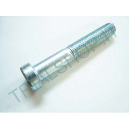 VITE SPECIALE 6 X 50