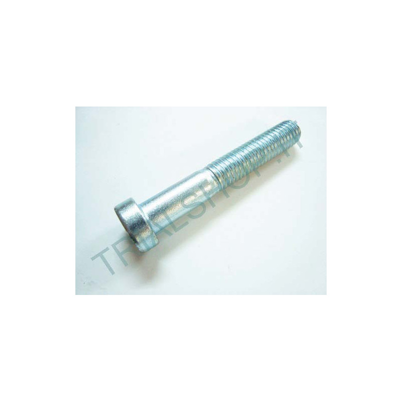 VITE SPECIALE 6 X 50