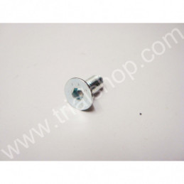 VITE A BRUGOLA CONICA 6X16