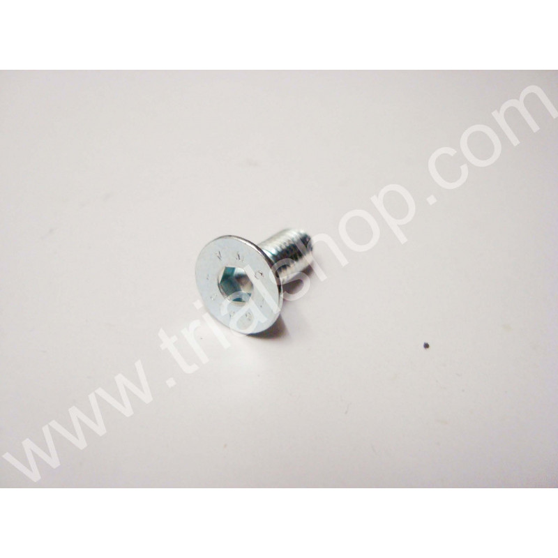 VITE A BRUGOLA CONICA 6X16