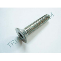 VITE BRUGOLA CONICA 6X43 INOX