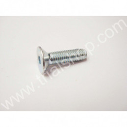 VITE A BRUGOLA CONICA 8X30