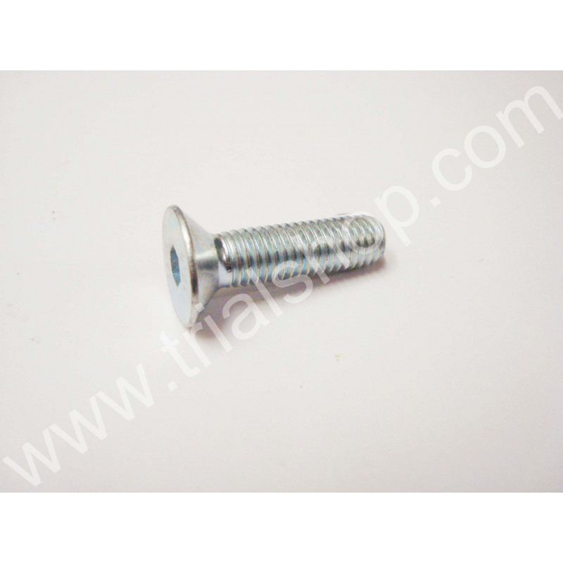 VITE A BRUGOLA CONICA 8X30