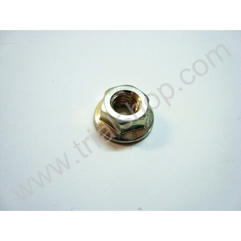 DADO CON RONDELLA M6 (DIN6923)