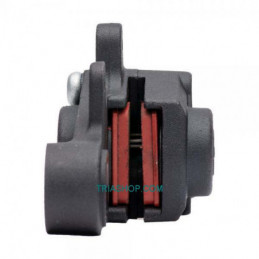 Pinza Freno Posteriore – Braktec –