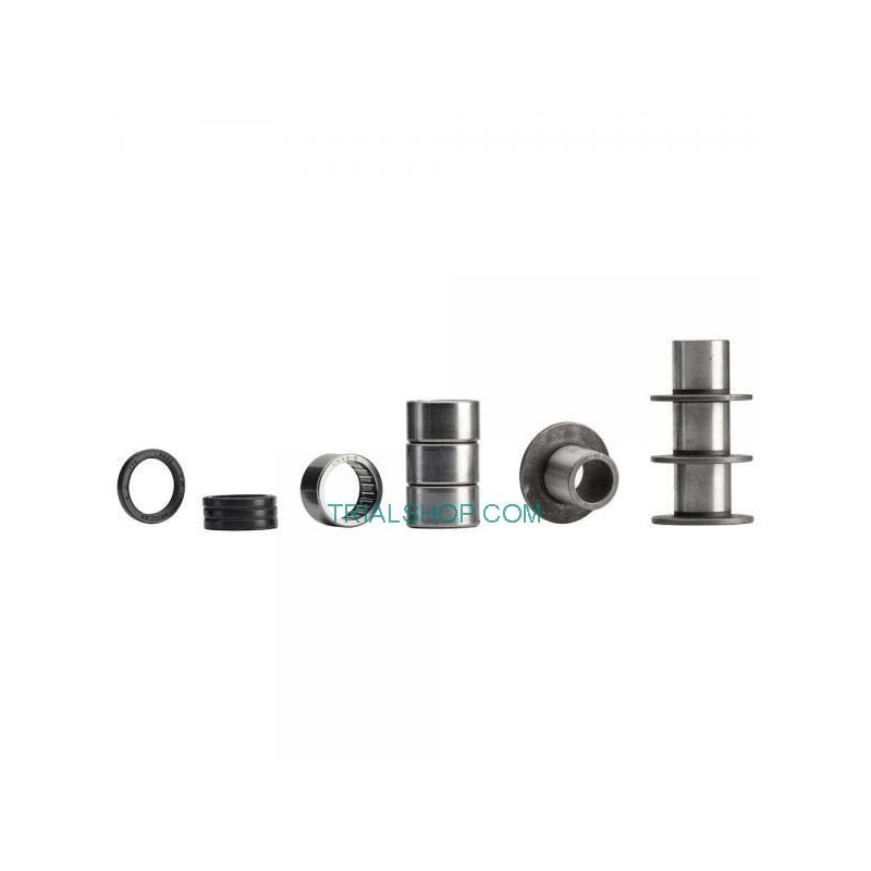 Kit Cuscinetti Forcellone Beta Evo – All-Balls –