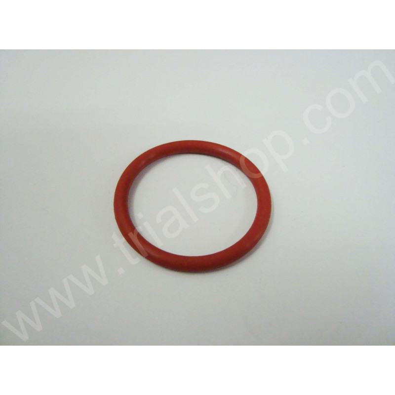 O-Ring Silenziatore Scorpa