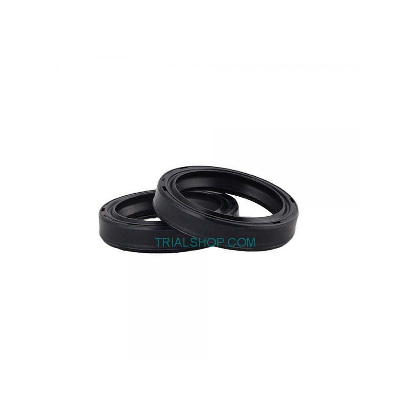 Paraolio da 2 Forcella Paoili 38MM Beta Rev/Evo, Sherco – Centauro –