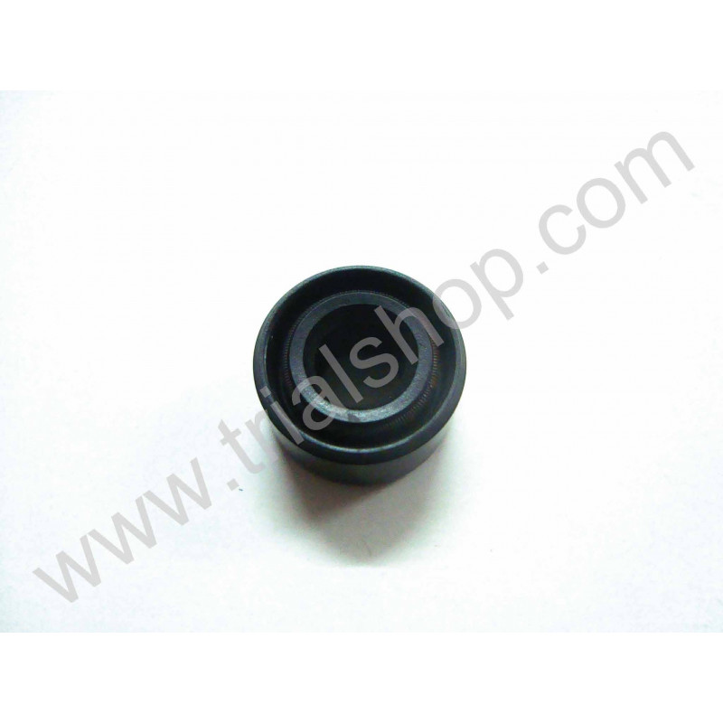 Paraolio Pompa Acqua Fantic Selection 250