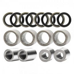 Kit Cuscinetti per Leveraggio Gas Gas Pro/Racing/Raga/Factory – Jitsie –